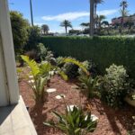 19d4d587-a591-48f8-8aa9-a95a05f32c1c