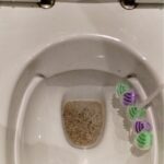 35e152a4-44ad-41ec-b5e5-cde577405d70