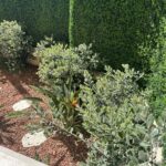 51b9abd2-4fc0-47e4-bc7d-77a97b16912e