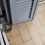 77193d9e-650e-456e-add4-1beb88660a05