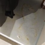 8fd01f33-80e5-42d6-8ed0-a15344571de0