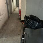 d254cd9a-c670-4684-bebc-e3e65ba8b31e