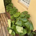 eb7d3a66-308c-41fd-9068-c8a9ceaed79c